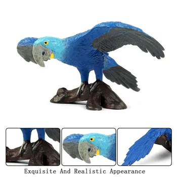 Dječje Kreativne Simulacija Plavi Papagaj Pravi Model Dekoracije Dekoracija Ručni Rad