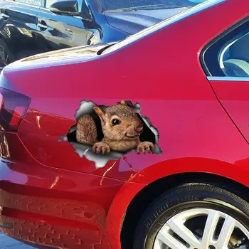 Slatko naljepnica za automobil s vjeverica, magnet s vjeverica, oznaka s vjeverica, oznaka s vjeverica